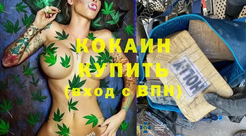 COCAIN Боливия  мега маркетплейс  Вельск 